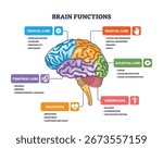 Brain functions are illustrated with labeled lobes, highlighting cortex, brainstem, and cerebellum roles. Outline diagram