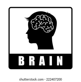 brain graphic design , vector illustration