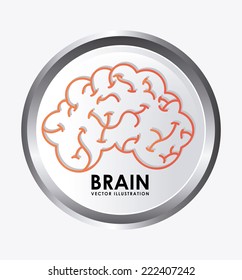 brain graphic design , vector illustration