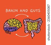 BRAIN AND GUTS Diagram Of Interaction Of Human Organs Medical Scheme For Teaching Anatomy Hand Draw Vector Illustration Sketch On Red Background