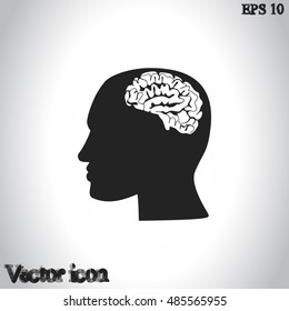 Brain in haed icon