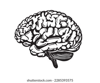 Ilustración dibujada a mano con cerebro, vector.