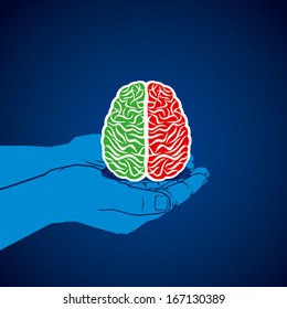 brain in hand with two different color background vector