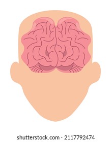 cerebro en la cabeza sobre fondo blanco