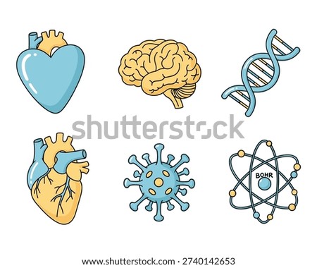 Brain, Heart, DNA, and More - Educational Illustrations in a Creative Lab Environment