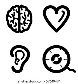 Brain, heart, ear, eye.