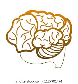 Brain hemispheres cartoon in yellow lines