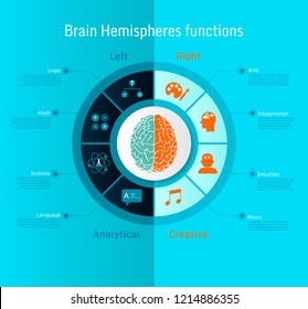 Brain hemispheres functions left analytical and right creative  infographics set vector illustration  on blue and orange color tone