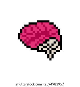 brain human anatomy pixel art