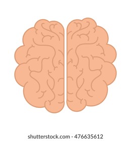 brain human icon design over white background,vector illustration