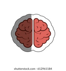 brain human isolated icon