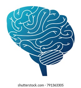 brain human isolated icon
