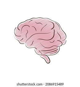 estilo del doodle de órganos humanos cerebrales
