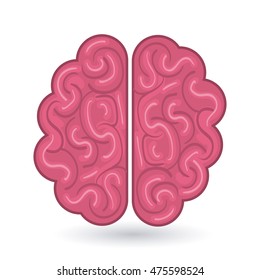 brain human organ isolated icon vector illustration design