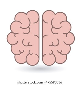brain human organ isolated icon vector illustration design