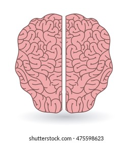brain human organ isolated icon vector illustration design