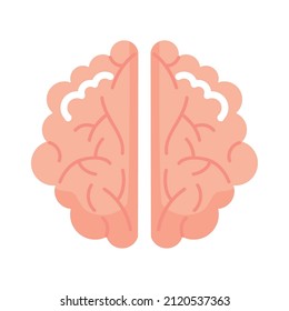 brain human organ think icon