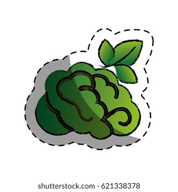 brain human with tree creative icon