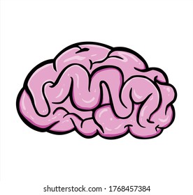 brain human vector illustration art 