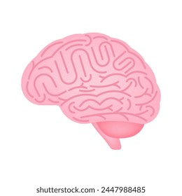 Cerebro. Cerebro humano. Ilustración vectorial aislada sobre fondo blanco. 