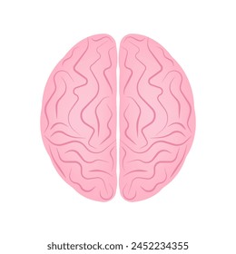Brain. Human Brain. Vector Illustration Isolated on White Background. 