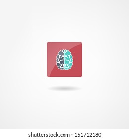 brain icon