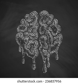 brain icon