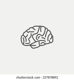 Brain icon