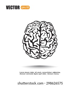 Brain icon