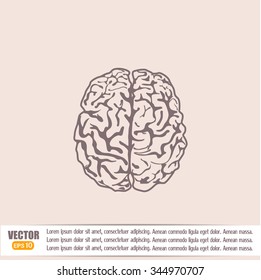 Brain icon