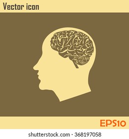 brain icon