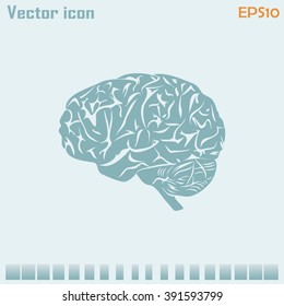 Brain icon