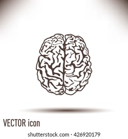Brain icon