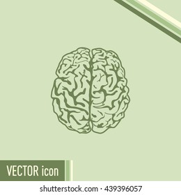 Brain icon