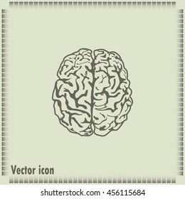 Brain icon
