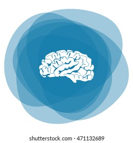 Brain icon