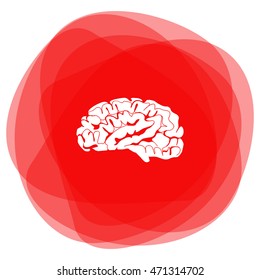 Brain icon