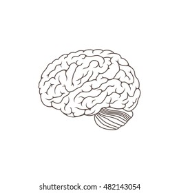 Human Brain Icon Side View Isolated Stock Vector (Royalty Free ...