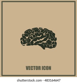 Brain icon
