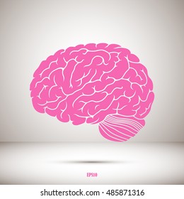 Brain icon.