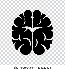 brain icon