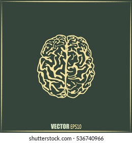 Brain icon