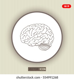 Brain icon.