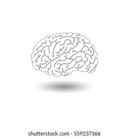 Brain icon.