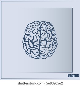 Brain icon