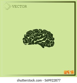Brain icon