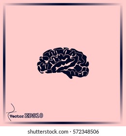 Brain icon
