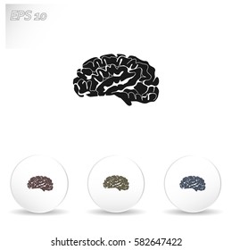 Brain icon
