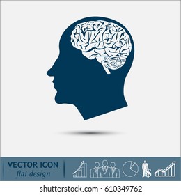brain icon