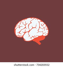 Human Brain Vector Version Available My Stock Illustration Shutterstock